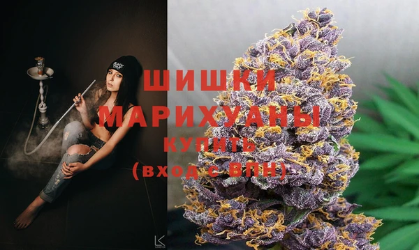 дурь Белокуриха