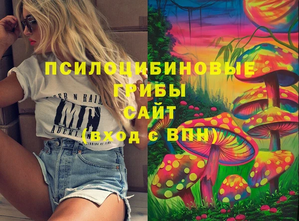 дурь Белокуриха
