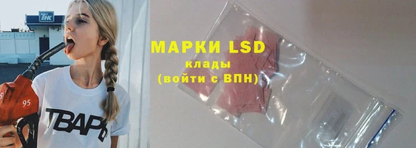 spice Богородск