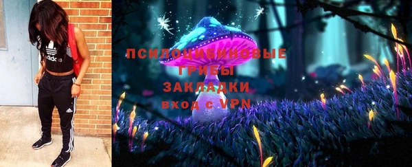 гашик Богданович
